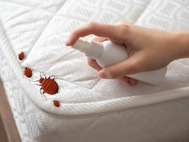 Best Pest Prevention Services  in Canutillo, TX